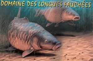 Les Longues Fauchées